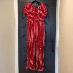 Francesca’s jumpsuit
